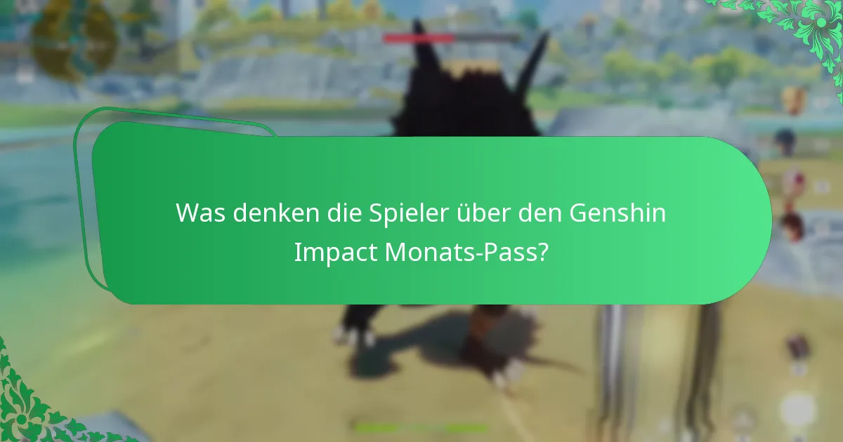 Wie vergleicht sich der Preis des Monats-Passes mit seinen Vorteilen?